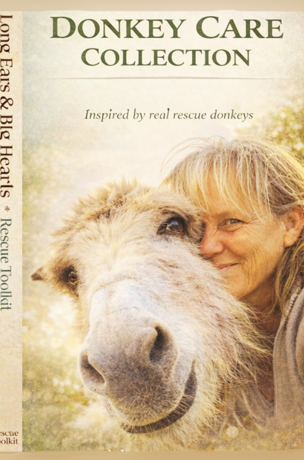 Long Ears & Big Hearts – Rescue Toolkit cover